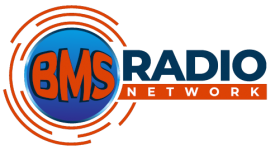 BMS Logo Small